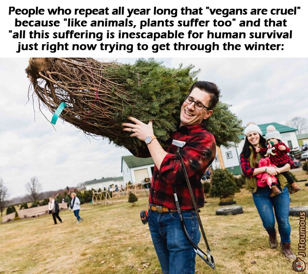 Christmas trees have feelings too - meme