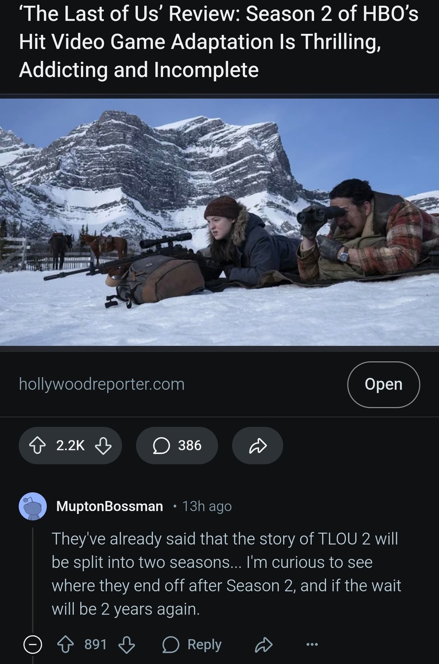 TLOU S2 review: fire, feelings and cliffhangers - meme