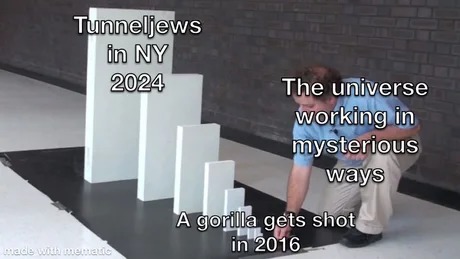 tunneljews in NY 2024 - meme