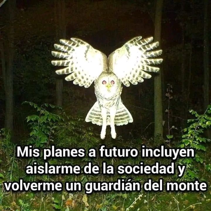 La lechuza, la lechuza hace sshhhh - meme