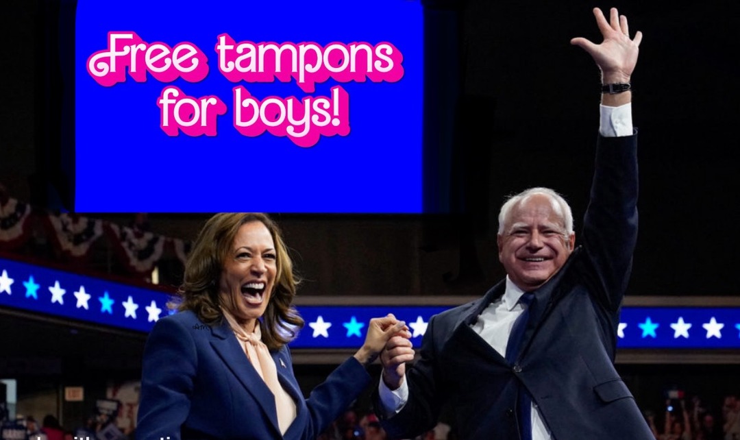 Kamala Harris and Tim Walz - meme