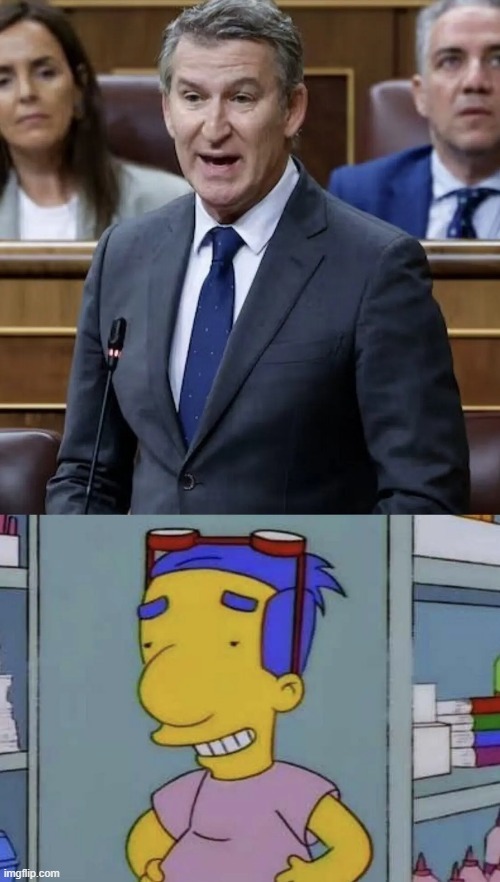 Feijoo Milhouse - meme