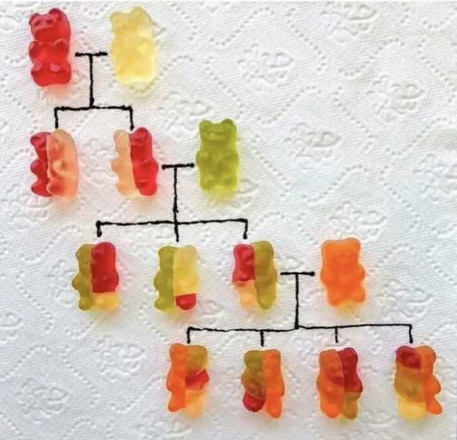 how genetics work - meme