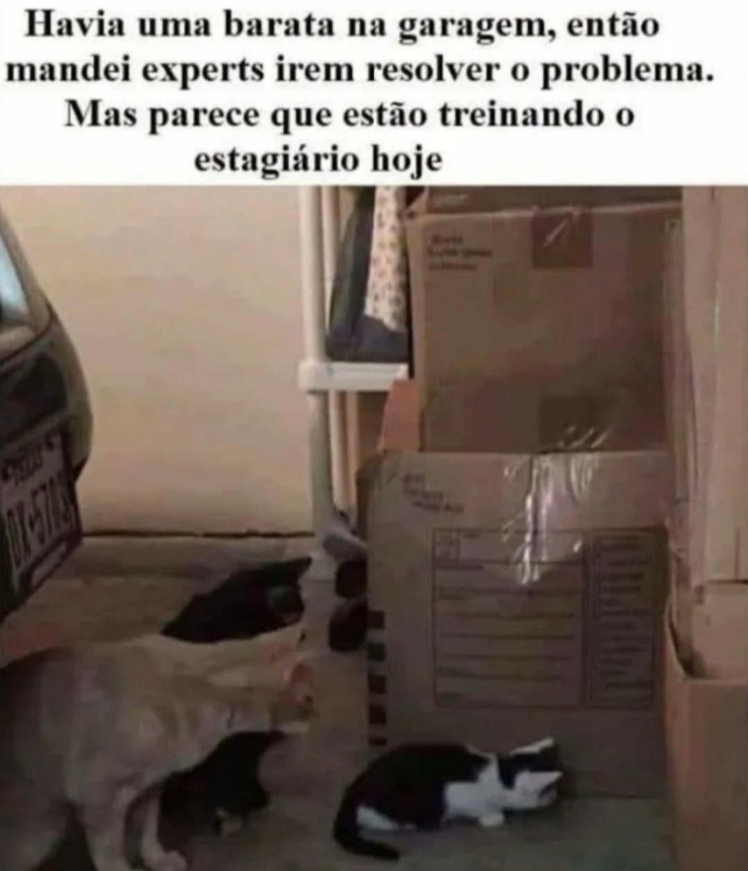 O Estagiário - meme