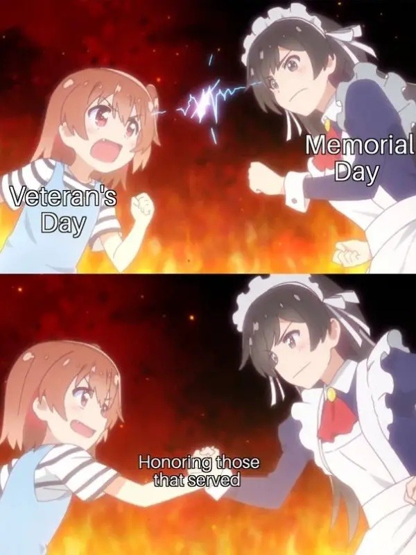 Memorial Day vs Veterans Day: we’re still mixing them up - meme
