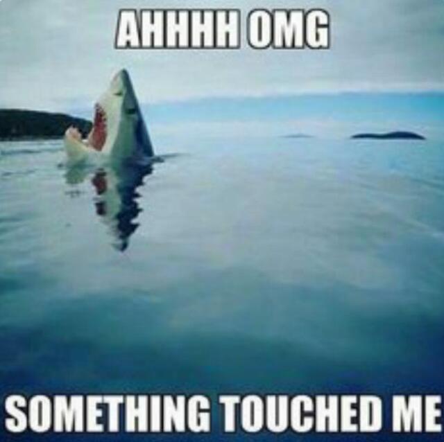 Shark! - meme