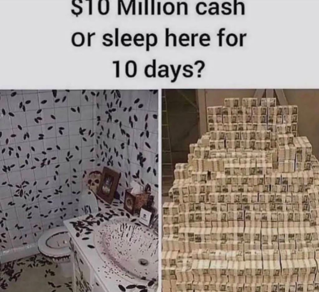 10 MM cash or stay with cockroaches - meme