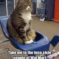 To the tuna we go!