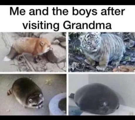 after visiting grandma - meme