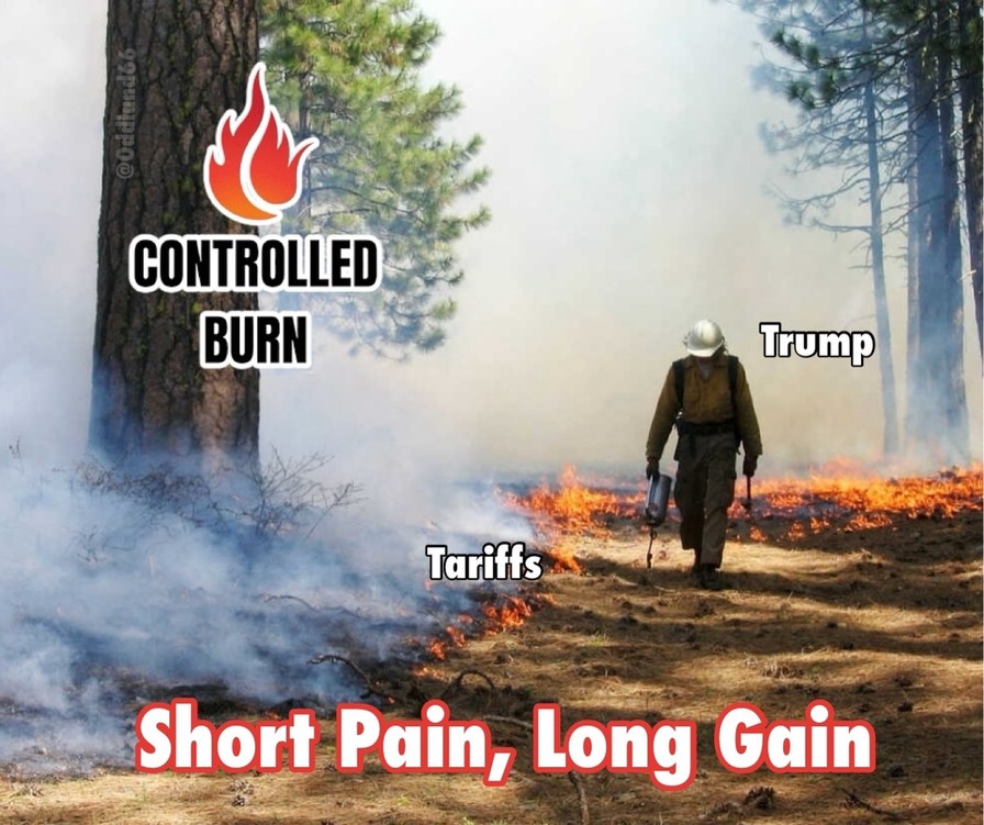 It’s a controlled burn. Short pain, long gain. - meme