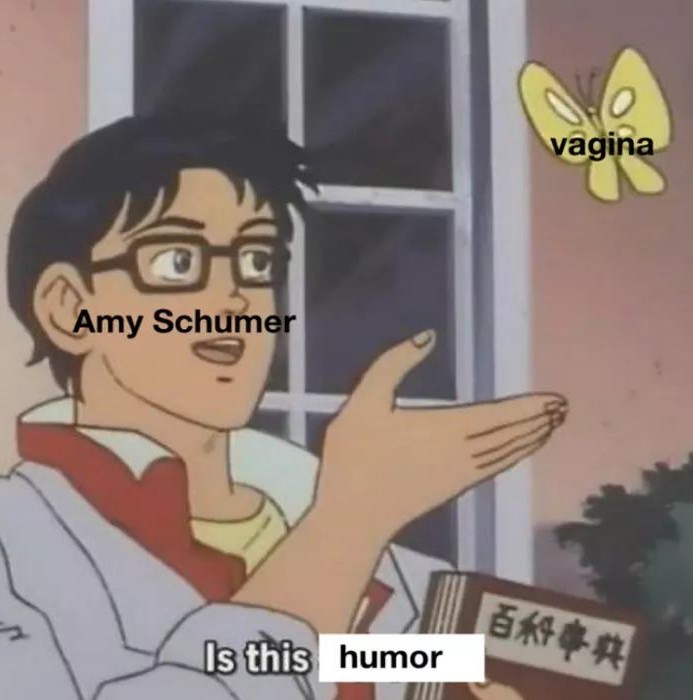 She's a fat bitch who's not very funny - meme