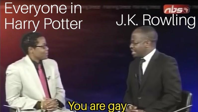 you are a gay harry - meme