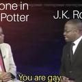 you are a gay harry