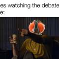 Flies watching the debate like