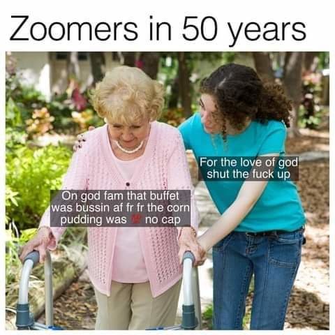 Joke is zoomers won't have anyone to visit them - meme