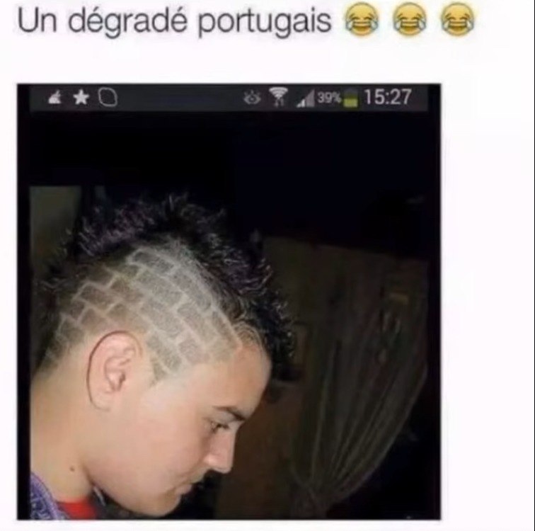 Un dégradé dégradant biodégradable askip - meme