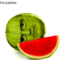 Pastex