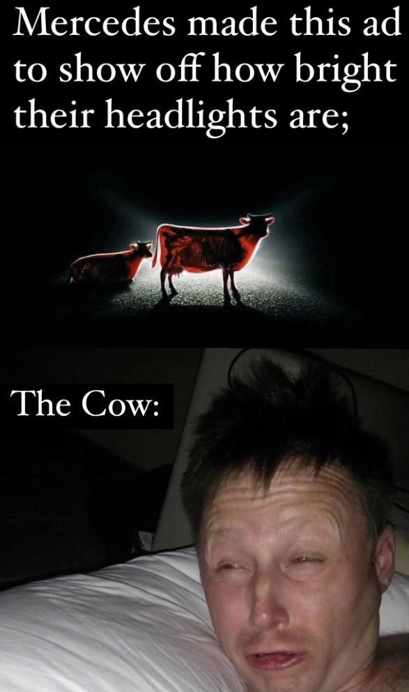 poor cows - meme