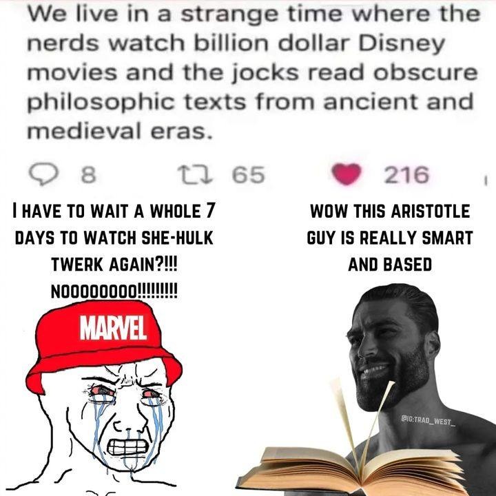 Aristotle - meme