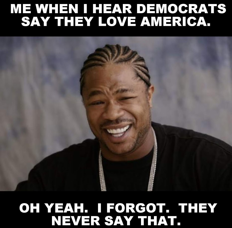 Democrats hate America and YOU - meme