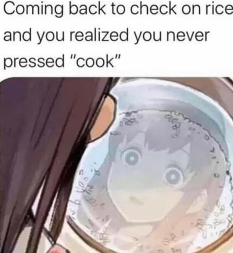 That moment you realize you never hit 'cook' on the rice - meme