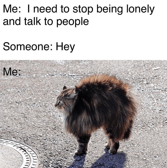 Need to stop being lonely… then immediately fold - meme