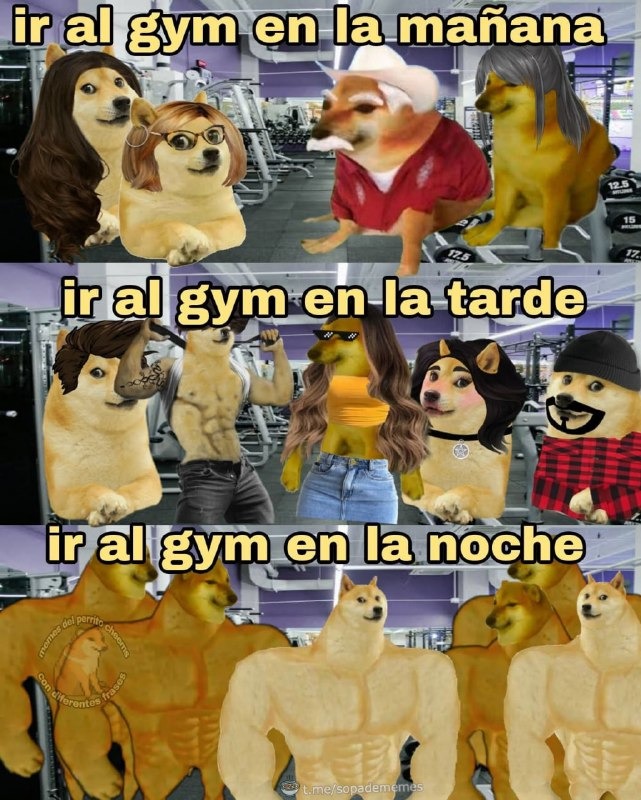 Top memes de Gym en español :) Memedroid