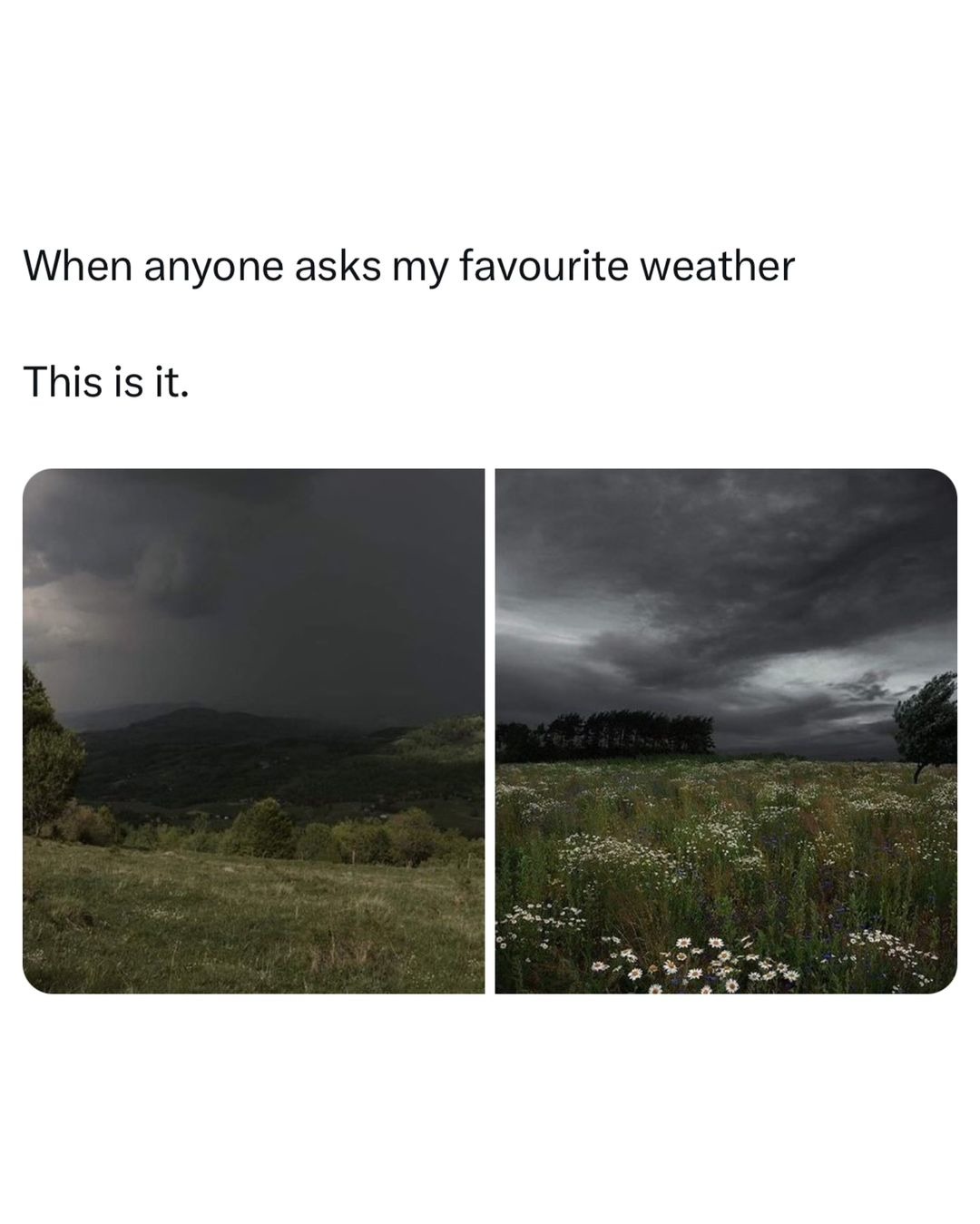 My personal heaven - meme