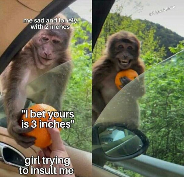 so Monkey - meme