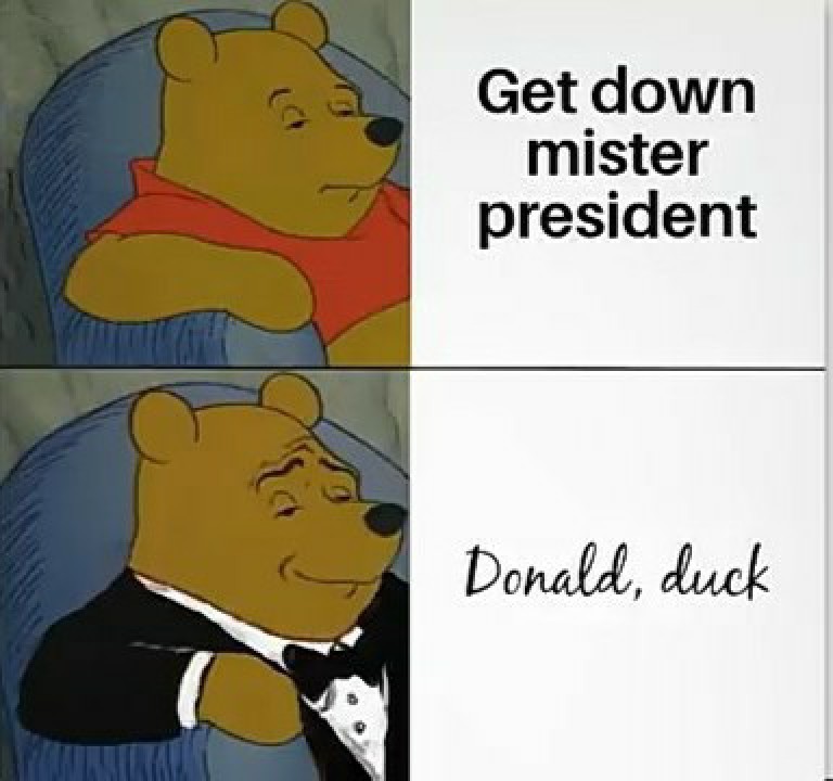 Duck donald - meme
