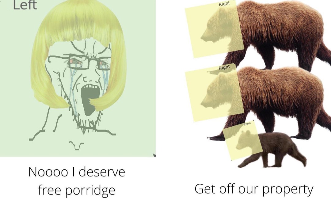 Based bears - meme