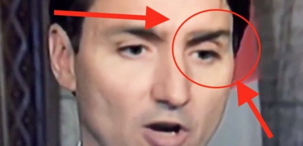 Reminder That Trudeau's Eyebrow Fell Off (But Normal People Have Fact Checkers Telling Us Their Eyebrows Didn't Fall Off) - meme