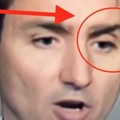 Reminder That Trudeau's Eyebrow Fell Off (But Normal People Have Fact Checkers Telling Us Their Eyebrows Didn't Fall Off)