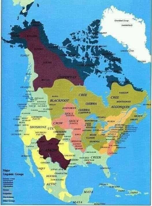 Linguistic Groups - meme