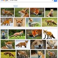 the correct pronounciation of fox