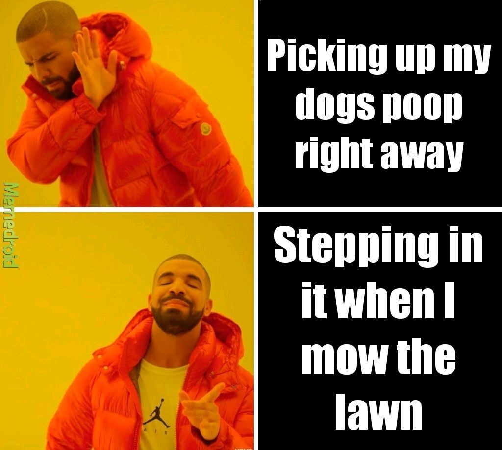 Poop problems - meme
