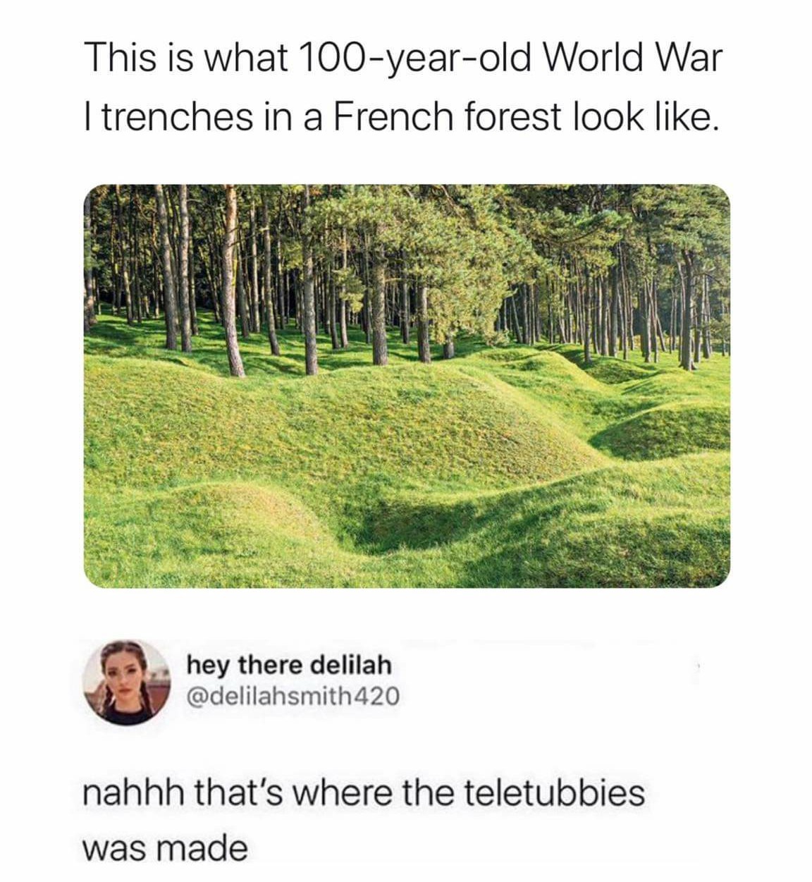 Teletubbies are French... - meme