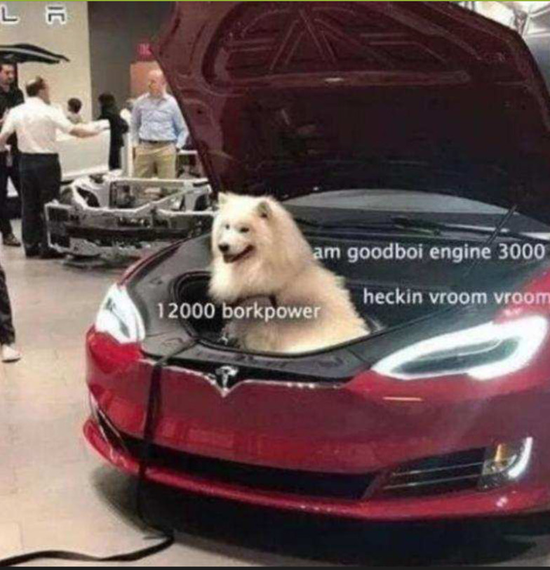 Tesla be like - meme