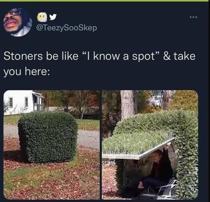 Yes meme for pot smokers