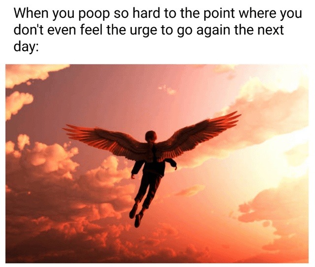 That one poop that resets your whole calendar - meme
