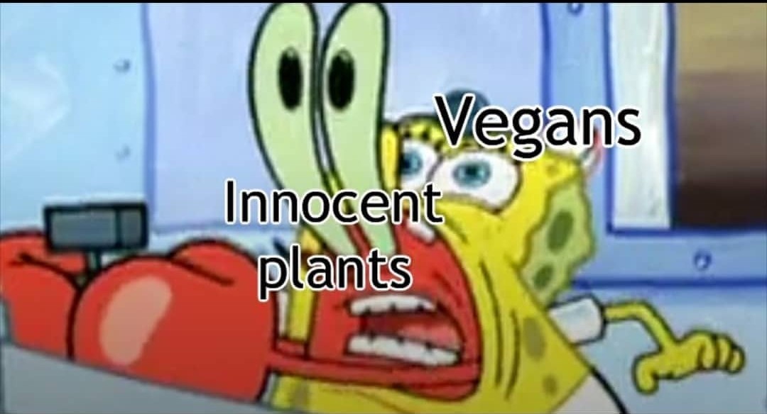 vegan $hit - meme