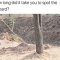 Its lying on the dirt