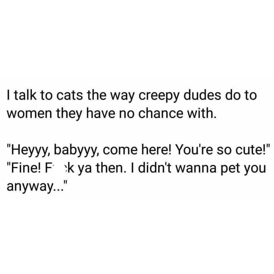 the way I talk to cats - meme