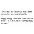 the way I talk to cats