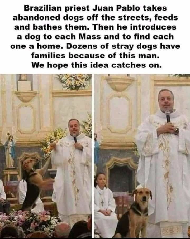 Not all priests are bad:) - meme