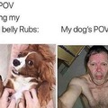 dog belly rubs