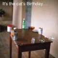 Cat's birthday
