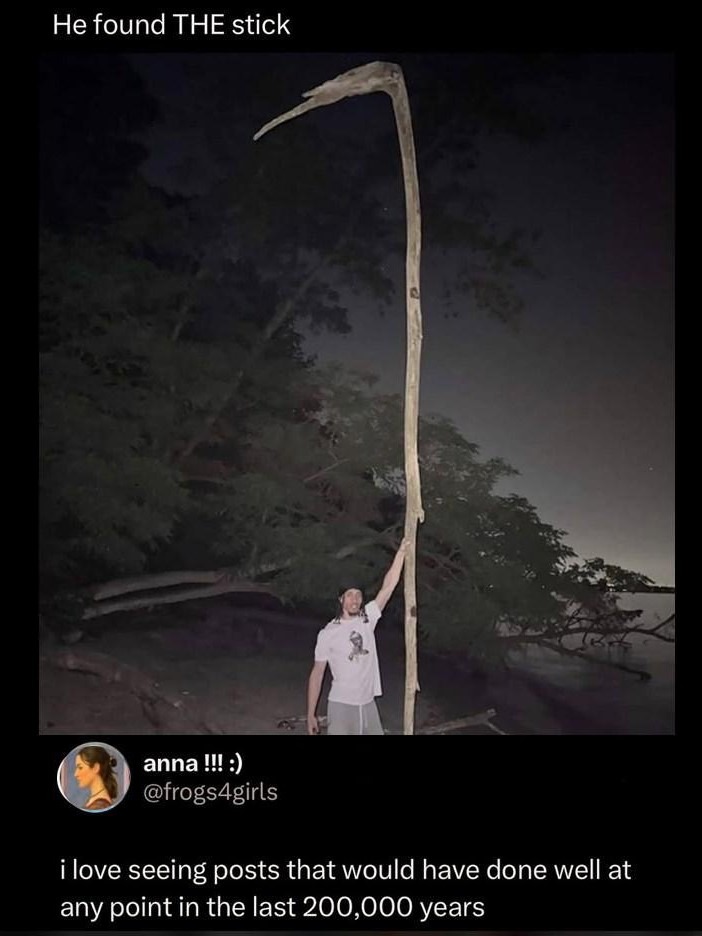 He found THE stick. Peak caveman vibes - meme