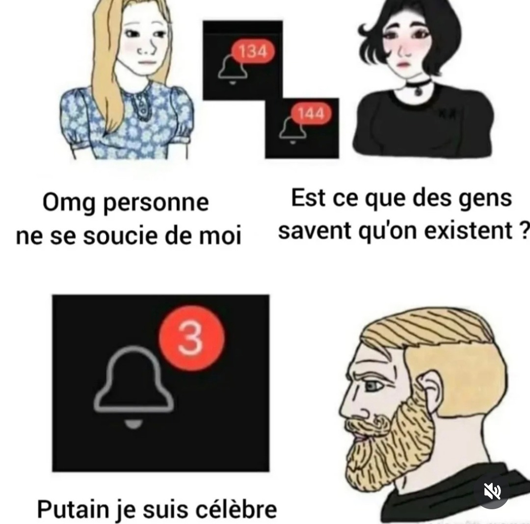 J’suis famous ou juste parano ? - meme