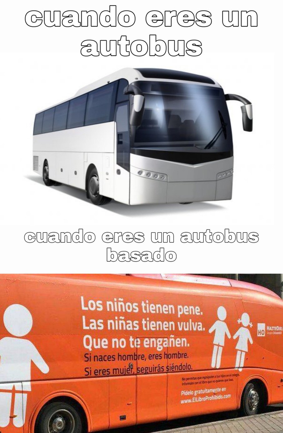 Autobus - meme
